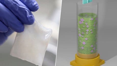 Si queremos olvidarnos del plástico, necesitamos sustitutos a la altura: hemos encontrado uno centrifugando bacterias