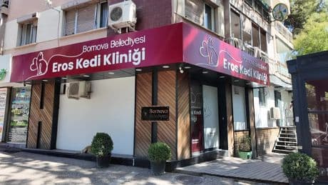 Bornova Belediyesi’nden modern kedi kliniği: Eros’un adı yaşatılıyor