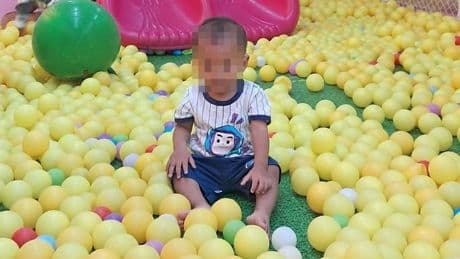 Tragödie in Thailand - Wespen stechen Zweijährigen beim Fahrradfahren tot