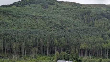 Campaigners secure crunch meeting as concerns rage over Strathyre felling plans