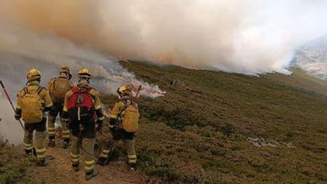 ¿Es la política eficaz contra los incendios?