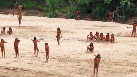 La mayor tribu no contactada del planeta tiene un problema: apenas les quedan árboles para esconderse