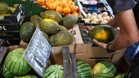 La sandía y el melón españoles ven la luz después de tres años de crisis por el clima extremo