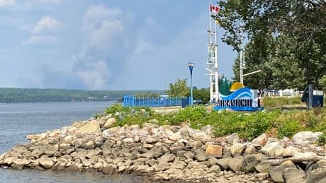 Wildfire near Miramichi, N.B. contained, other blazes continue to grow
