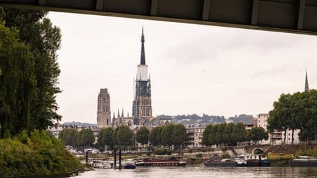 Comment la Seine a retrouvé deux fois plus de poissons qu’il y a deux ans