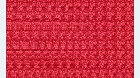 Only 15% can spot the correct hidden image in this blurred optical illusion – but can you do it in less than 30 seconds?
