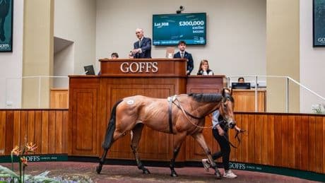 Little-known trainer's joy as Willie Mullins swoops to buy his stable star for £300,000