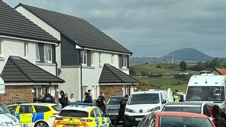 Woman 'mauled by two XL Bully-type dogs' as armed cops seen on Scots street