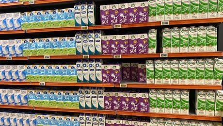 Üreticiye süt karşılığı yem dayatması yapan 39 şirkete soruşturma açıldı