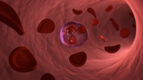 NHS green lights ‘Trojan horse’ treatment that attacks cancer cells from inside