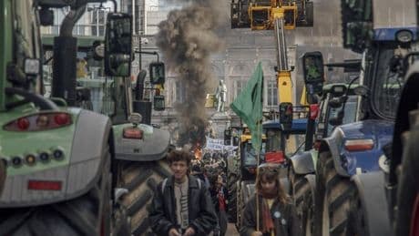 Los agricultores europeos preparan protestas este septiembre contra el pacto de aranceles con Trump