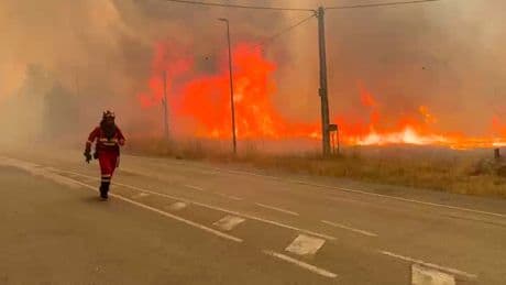 France and Spain hit by red weather warnings as Europe burns in 44C heatwave