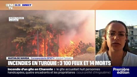 Plus de 3.100 feux se sont déclarés en Turquie depuis le début de l'été