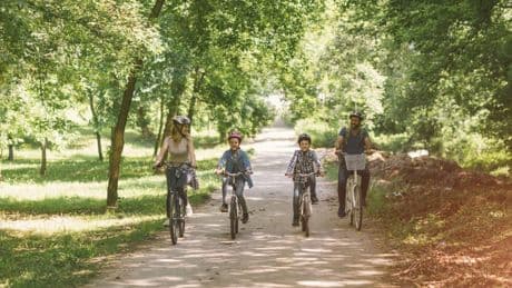 20 family-friendly summer cycles, from Kent’s Viking coast to a dinosaur trail