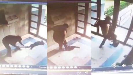 ‘Cezve’yi işkence yaparak öldüren hayvan düşmanı en ağır cezayı almalı