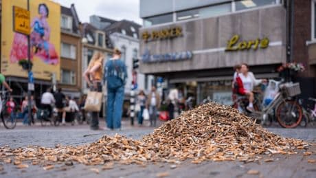 Wereldwijd bijna miljoen peuken geraapt door Nederlandse actie