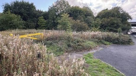 Woman raped in 'brutal racist attack' as police launch probe
