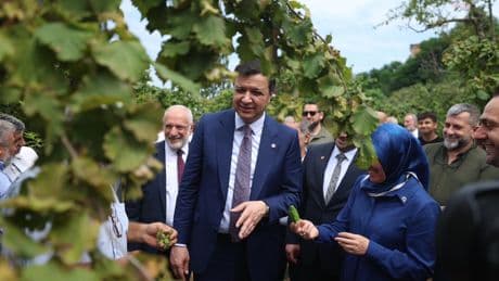Fındıkta taban fiyat hâlâ açıklanmadı, üretici endişeli