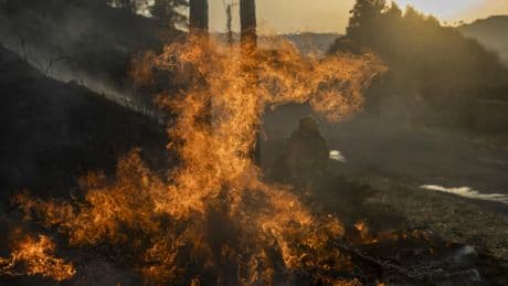 Cómo hay que actuar en las proximidades de un incendio forestal o si se origina cerca de viviendas