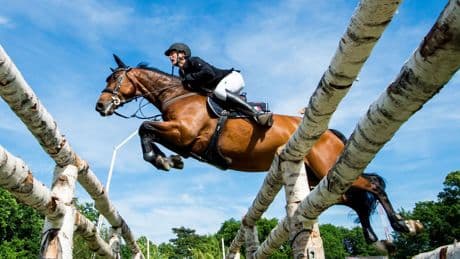 Pfingstreitturnier: Italiener gewinnt überraschend Großen Preis in Wiesbaden