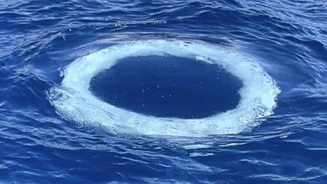 Decenas de anillos aparecen en el mar y la ciencia se pronuncia: pueden ser mensajes "de otra inteligencia"