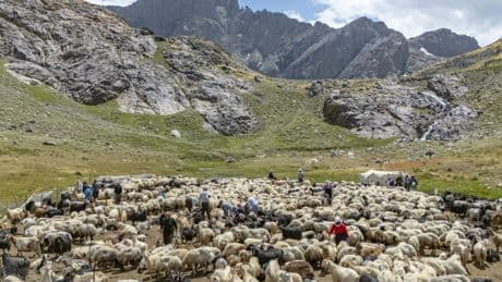 Turquie : le retour prudent des bergers kurdes dans les montagnes d’Hakkari