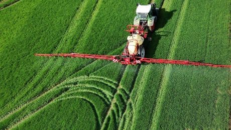 Bayer-Tochter Monsanto: Lieber ein Ende mit Schrecken