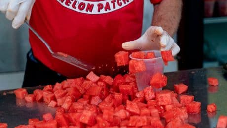 The unexpected side-effect of eating too much watermelon