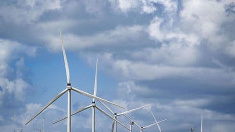 Bedrijfsleven luidt noodklok: ’Kamer moet snel maatregelen nemen voor wind op zee’