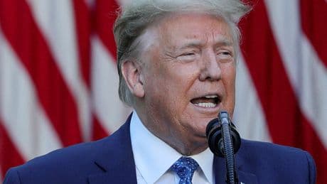 Trump'ın dünürü büyükelçi oldu