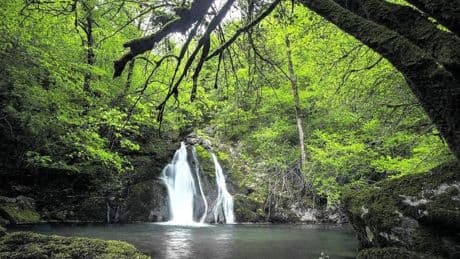Buscando lamias en Osinberde