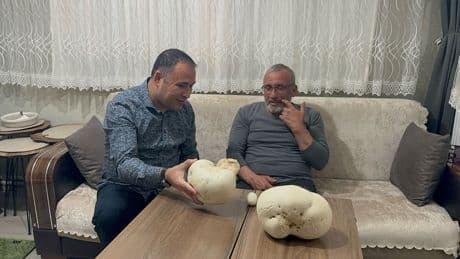 Ailesiyle çıktığı doğa yürüyüşünde bulup eve getirdi; gören herkes şaşırdı kaldı!