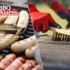 “Dit adviseer ik mijn klanten ook”: zo maak je je barbecue het makkelijkst proper, volgens expert
