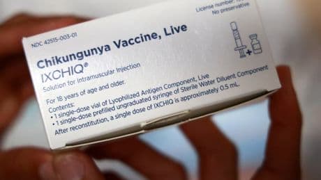 Chikungunya à La Réunion et Mayotte: les plus de 65 ans retirés de la campagne de vaccination après trois "événements indésirables graves"
