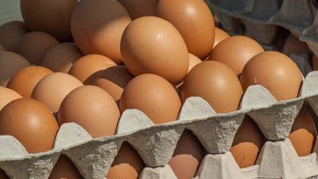 Yumurta fiyatları düştü: 30’lu kolinin fiyatı ne kadar oldu?