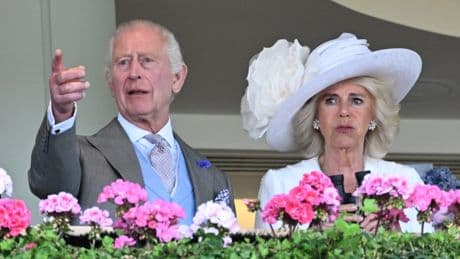 Willie Mullins plotting ‘big surprise’ worth £60,000 for King Charles at Royal Ascot with historic runner Reaching High