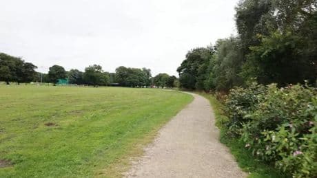 Woman killed by falling branch in park as emergency services race to scene