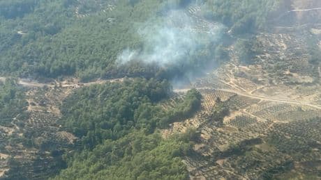 Muğla Yakacık Mahallesi’nde orman yangını: Hava ve kara ekipleri bölgede