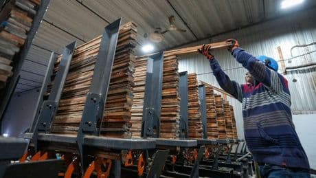Canada should ‘stand up’ to U.S. after Trump tariff hike, B.C. forestry exec says
