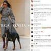 Importing puppies and mutilated dogs into the UK to cash in on ear cropping craze popularised by Kendall Jenner and other celebs set to be BANNED