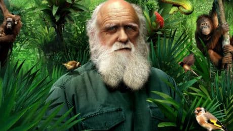 "Darwin spiega la pandemia meglio di chiunque altro"