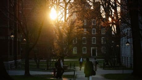 Harvard University: Im Würgegriff