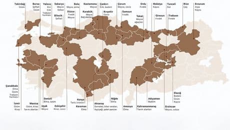 Çiftçinin hayalleri yıkıldı! Türkiye'de bu yaz kıtlık olur mu?