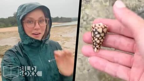 Achtung, Lebensgefahr! - Influencerin greift Giftschnecke – und ahnt nichts