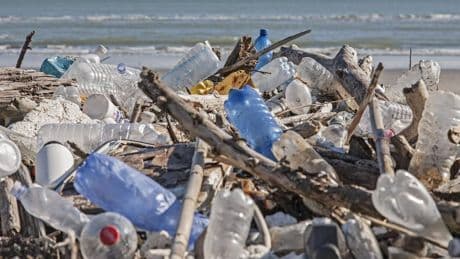Plastikflut stoppen: Warum Strohhalm-Verbote nichts bewirken