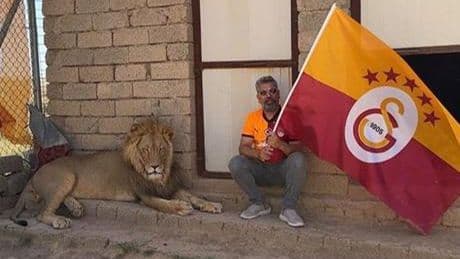 Galatasaraylı taraftar, şampiyonluğu aslanlarıyla kutladı