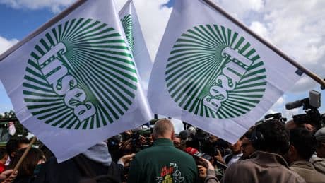 Agriculture : dans le marasme ambiant, la FNSEA appelle à la mobilisation cet automne