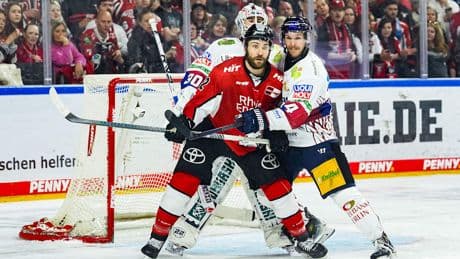 Dresdens Transferliste für die DEL - Drei Top-Stars raus, neuer Name drauf