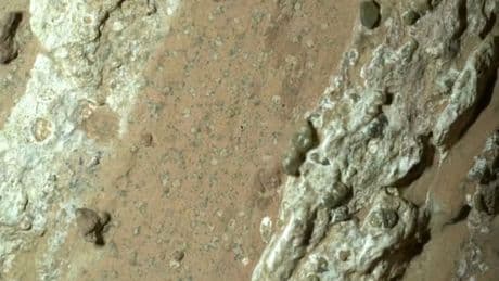 Sensationelle Entdeckung auf dem Mars - Sind das Spuren von uraltem Leben?