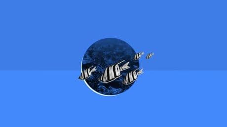 Quiz culture générale : 10 questions de géographie sur les mers et les océans